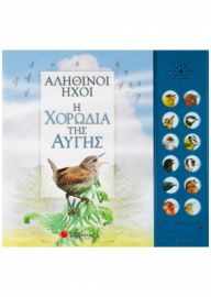 ΑΛΗΘΙΝΟΙ ΗΧΟΙ: Η ΧΟΡΩΔΙΑ ΤΗΣ ΑΥΓΗΣ (ΜΕ 12 ΗΧΟΥΣ ΠΟΥΛΙΩΝ)