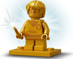LEGO HARRY POTTER: HOGWARTS POLYJUICE POTION MISTAKE  76386