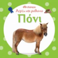 ΠΟΝΙ - ΑΓΓΙΖΩ ΚΑΙ ΜΑΘΑΙΝΩ