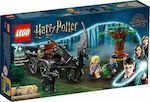 LEGO HARRY POTTER HOGWARTS CARRIAGE THEST 