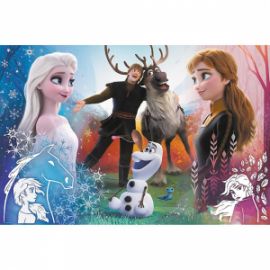 ΠΑΙΔΙΚΟ PUZZLE FROZEN 300PCS ΓΙΑ 8+ ΕΤΩΝ TREFL