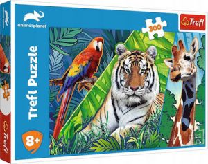ΠΑΙΔΙΚΟ PUZZLE 300PCS ΓΙΑ 8+ ΕΤΩΝ TREFL