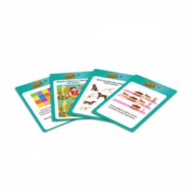 ΔΕΣΥΛΛΑΣ ΕΠΙΤΡΑΠΕΖΙΟ ΠΑΙΧΝΙΔΙ SMART CARDS - ΓΡΙΦΟΙ ΓΙΑ 1+ ΠΑΙΚΤΕΣ 9+ ΕΤΩΝ