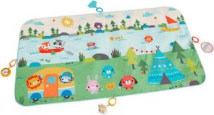 FISHER PRICE ΧΑΛΑΚΙ ΔΡΑΣΤΗΡΙΟΤΗΤΩΝ ΠΟΛΥΧΡΩΜΟ ΓΙΑ ΝΕΟΓΕΝΝΗΤΑ (MXΠ) 152.4X81.28CM