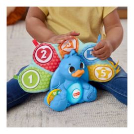 FISHER PRICE ΠΑΓΩΝΙ ΜΕ ΗΧΟΥΣ ΓΙΑ 9+ ΜΗΝΩΝ