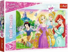 ΠΑΙΔΙΚΟ PUZZLE OΝΕΙΡΕΥΟΜΑΙ ΝΑ ΓΙΝΩ ΠΡΙΓΚΙΠΙΣΣΑ 100PCS ΓΙΑ 5+ ΕΤΩΝ TREFL