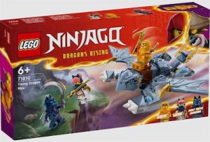 LEGO NINJAGO YOUNG DRAGON RIYU 71810 