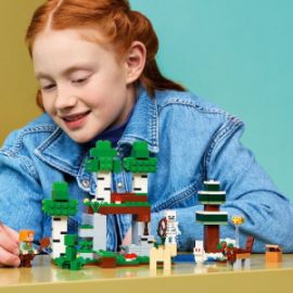  LEGO MINECRAFT FIRST NIGHT ADVENTURE  301ΤΜΧ 205559