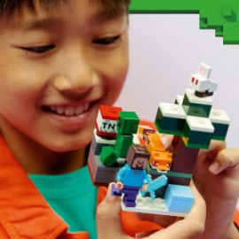 LEGO MINECRAFT STEVE'S TAIGA ADVENTURE ΓΙΑ 6+ ΕΤΩΝ 79ΤΜΧ