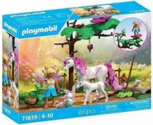 PLAYMOBIL MAGIC ΜΟΝΟΚΕΡΟΙ ΚΑΙ ΝΕΡΑΙΔΑ 71839
